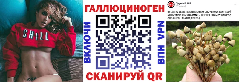 Галлюциногенные грибы Psilocybine cubensis  Опочка 